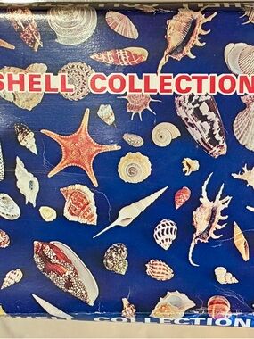The Vintage Seashell Collection with mounted seashells RARE FIND